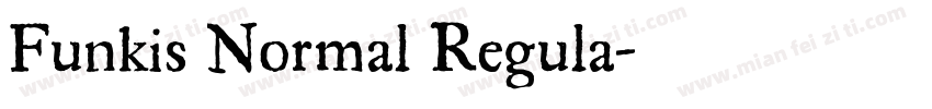 Funkis Normal Regula字体转换